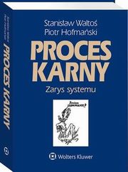 Proces karny. Zarys systemu, Stanisaw Walto, Piotr Hofmaski