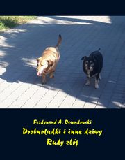 Drobnoludki i inne dziwy. Rudy zbj, Antoni Ferdynand Ossendowski