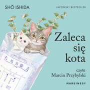 Zaleca si kota, Sho Ishida
