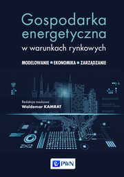 Gospodarka energetyczna w warunkach rynkowych, 