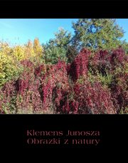 Obrazki z natury, Klemens Junosza