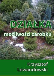 ksiazka tytu: Dziaka. Moliwoci zarobku autor: Krzysztof Lewandowski