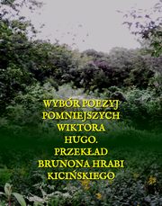 Wybr poezyj pomniejszych Wiktora Hugo, Wiktor Hugo