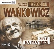 Ziele na kraterze, Melchior Wakowicz