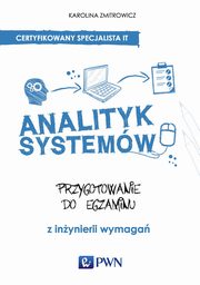 Analityk systemw, Karolina Zmitrowicz