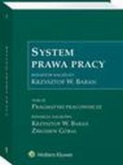 System prawa pracy. TOM XI. Pragmatyki pracownicze, Krzysztof Wojciech Baran, Zbigniew Gral