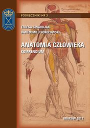 Anatomia czowieka - kompendium, Teresa Gwardjak, Bartomiej Sokoowski