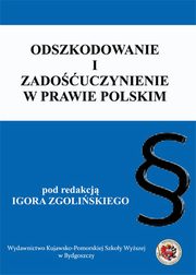 ksiazka tytu: Odszkodowanie i zadouczynienie w prawie polskim autor: 