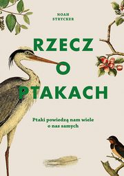 Rzecz o ptakach, Noah Strycker