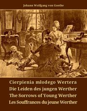Cierpienia modego Wertera, Johann Wolfgang von Goethe