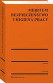 MERITUM Bezpieczestwo i higiena pracy, Jerzy urek, Maciej Ambroziewicz, Magdalena Stojek-Siwiska, Jerzy Wroski, Ryszard Celeda, Edward Koodziejczyk, Andrzej Kowerski, Waldemar Leszek Krupa, Kazimierz urawski, Jaromir Grabowski, Adam Maciej Pietrzak, Jzef Gierasimiuk, Jzef Witczak
