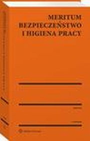 MERITUM Bezpieczestwo i higiena pracy, Jerzy urek, Maciej Ambroziewicz, Magdalena Stojek-Siwiska, Jerzy Wroski, Ryszard Celeda, Edward Koodziejczyk, Andrzej Kowerski, Waldemar Leszek Krupa, Kazimierz urawski, Jzef Gierasimiuk, Jaromir Grabowski, Jzef Witczak, Adam Maciej Pietrzak