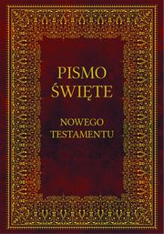 Biblia Pismo wite Nowego Testamentu, Praca zbiorowa