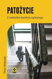 Patoycie Z notatnika kuratora sdowego, Piotr Matysiak