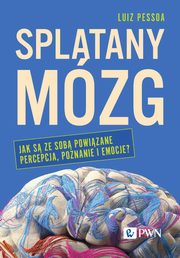 Spltany mzg, Luiz Pessoa
