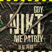 Podkomisarz Robert Lew. Tom 2. Gdy nikt nie patrzy, M.M. Perr