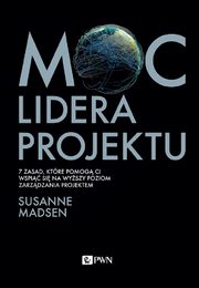 Moc lidera projektu, Susanne Madsen