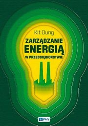 Zarzdzanie energi w przedsibiorstwie, Kit Oung