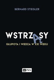 Wstrzsy, Bernard Stiegler