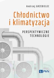 Chodnictwo i klimatyzacja. Perspektywiczne technologie, Andrzej Grzebielec