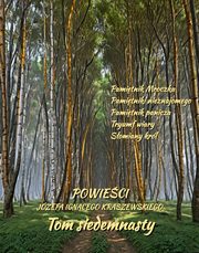 Powieci Jzefa Ignacego Kraszewskiego. Tom 17, Jzef Ignacy Kraszewski