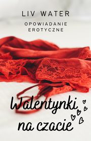 Walentynki na czacie. Opowiadanie erotyczne, Liv Water