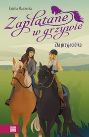 Zapltane w grzywie. Za przyjacika, Kamila Majewska