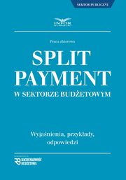 Split Payment w sektorze budetowym, Praca zbiorowa
