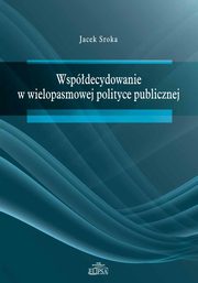 Wspdecydowanie w wielopasmowej polityce publicznej, Jacek Sroka