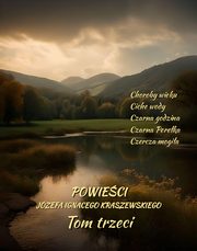 Powieci Jzefa Ignacego Kraszewskiego. Tom 3, Jzef Ignacy Kraszewski