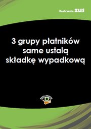 ksiazka tytu: 3 grupy patnikw same ustal skadk wypadkow autor: Praca zbiorowa