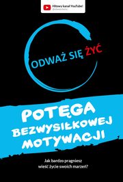 Odwa si y. Potga bezwysikowej motywacji, Dawid Pitkowski