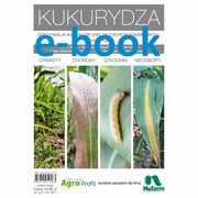 ksiazka tytu: Kukurydza - chwasty, choroby, szkodniki, niedobory autor: Pawe Bere, Piotr Szulc, Robert Idziak, ukasz Sobiech, ukasz Siekaniec, Kamil Kolan, Adam Wachowski, Sawomir Drzewiecki