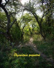 Objawienia prywatne, Praca zbiorowa