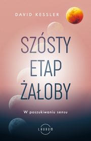 Szsty etap aoby. W poszukiwaniu sensu, David Kessler