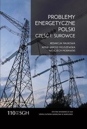 Problemy energetyczne Polski. Cz I. Surowce, 