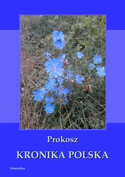 Kronika polska Prokosza, Prokosz