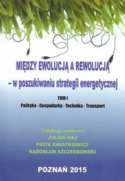 Midzy ewolucj a rewolucj - w poszukiwaniu strategii energetycznej Tom 1, 