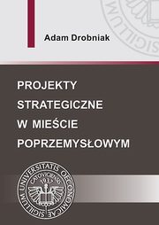 Projekty strategiczne w miecie poprzemysowym, Adam Drobniak