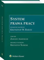 System Prawa Pracy. Tom XIII, Krzysztof lebzak, Krzystof W. Baran, Krzysztof Wojciech Baran