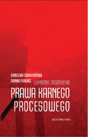 Wybrane zagadnienia prawa karnego procesowego, Agnieszka Choromaska, Monika Porwisz