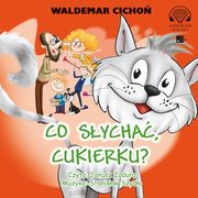 Co sycha, Cukierku?, Waldemar Cicho