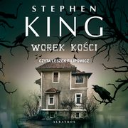 Worek koci, Stephen King