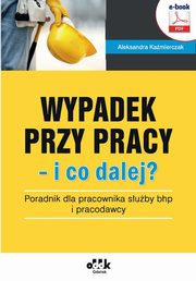 Wypadek przy pracy ? i co dalej? Poradnik dla pracownika suby bhp i pracodawcy, Aleksandra Kamierczak