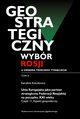 Geostrategiczny wybr Rosji u zarania trzeciego tysiclecia - Tom 2, Karolina Kotulewicz