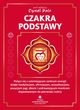 Czakra podstawy, Cyndi Dale