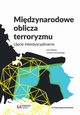 Midzynarodowe oblicza terroryzmu, 