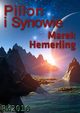 Pillon i Synowie, Marek Hemerling