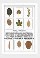 MORPHOLOGICAL AND ANATOMICAL VARIATIONS OF LEAVES IN SELECTED TAXA FROM THE FAMILY MORACEAE AND THEIR TAXONOMICAL IMPORTANCE, Mariola Truchan