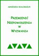 Przemieni niepowodzenia w wyzwania, Agnieszka Biaomazur